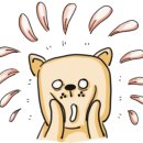 공단썬팅 이미지