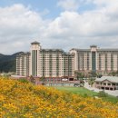 에이치디씨리조트 주식회사 이미지