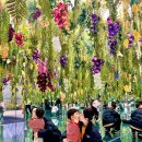 보어염소천국 | 가평 실내 아이랑 가볼만한 곳ㅣ 베고니아새정원, 크리스마스, 겨울방학