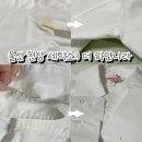 울산 울주군 세탁소 추천:) 더 하얀 나라. 찌든 때 싹 제거 내돈내산