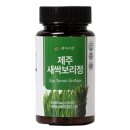 보리정 이미지