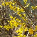 풍호체육공원 이미지