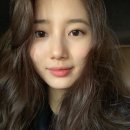수지펫