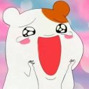 와이비스킨코리아 이미지