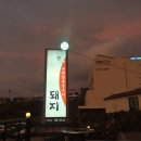 노을빛돼지 이미지