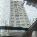 퍼펙트카광택