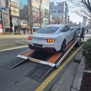 자동차를사랑하는사람 | 2025 포드 머스탱 포토, 수입 스포츠카 고민 끝에 내린 결론!