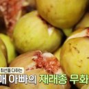 안기농장 이미지