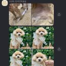 오큐트 이미지