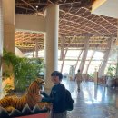 데일리 당구클럽 이미지