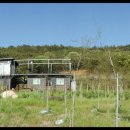 장형농장 이미지