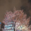 대신공원로 이미지