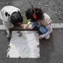 트루엘어린이집 이미지