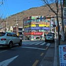 양지조은약국 네이버블로그
