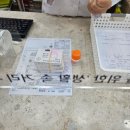 뉴욕대학병원약국 이미지