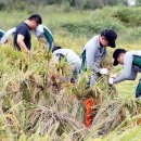 제31사단 503여단 이미지