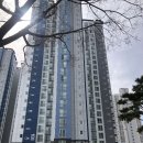 금오15길 이미지