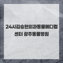 광주동물메디컬센터 | 24시김승현외과동물메디컬센터 광주동물병원