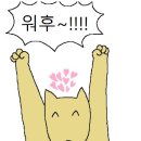 혀나헤어 이미지