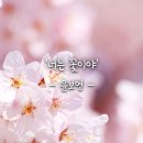 7월 3일 (수요일) 너는 꽃이야 이미지