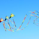 탑동농장 이미지