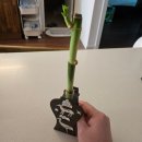 해봄교구 | 만들기 키트 추천 어린이 오렌지e몰 학습교구 봄 감성 DIY 6종 후기