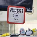구민약국 | [성남/미금] 용인 수지 구민이 찾아간 사랑니 발치 병원 후기