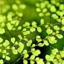 깊은산속 옹달샘 이미지