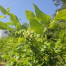 우석농장 이미지