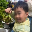 공립삼호아이숲어린이집 이미지