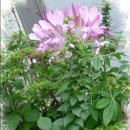 도천어린이집 이미지