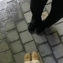 동아리(대라수점) 이미지