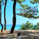 송정 물레방아 휴게소 이미지