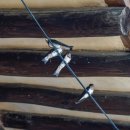 장말손 유품 이미지