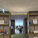 하파크리스틴 올리브영엔(N) 성수점 | 다른 곳과 다른 올리브영N 성수 구경후기