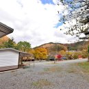 올래 캠핑장 이미지