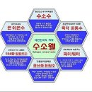 닥터쉬 이미지