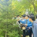 미래생태 이미지