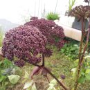 광바위주유소 이미지