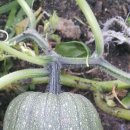 당촌가든 이미지