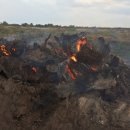 손종순농장 이미지