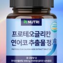 연어정