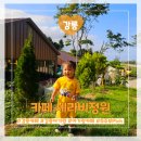 세라비정원