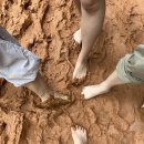 (주)대성조선 | 성심당없는 서울-대전 1박2일(첫번째:계족산황토길,오류동공주칼국수,남간정사,야키토리로지)