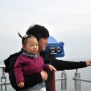 양떼마트 이미지