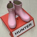 아젤리아 이미지