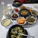 열차빈대떡 | 강원도 당일치기 기차여행 정선 아리랑 열차 민둥산 억새축제