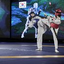 월드경희대태권도