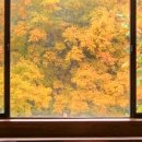 카페(Cafe)321 이미지