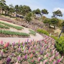 허브밸리(원형광장) 이미지